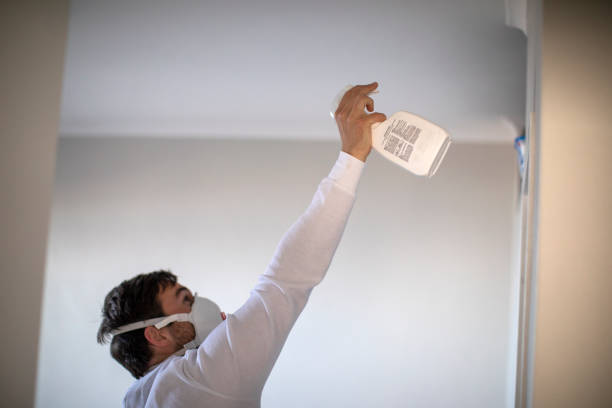 Best Mold Removal Process  in Highland Lakes, AL